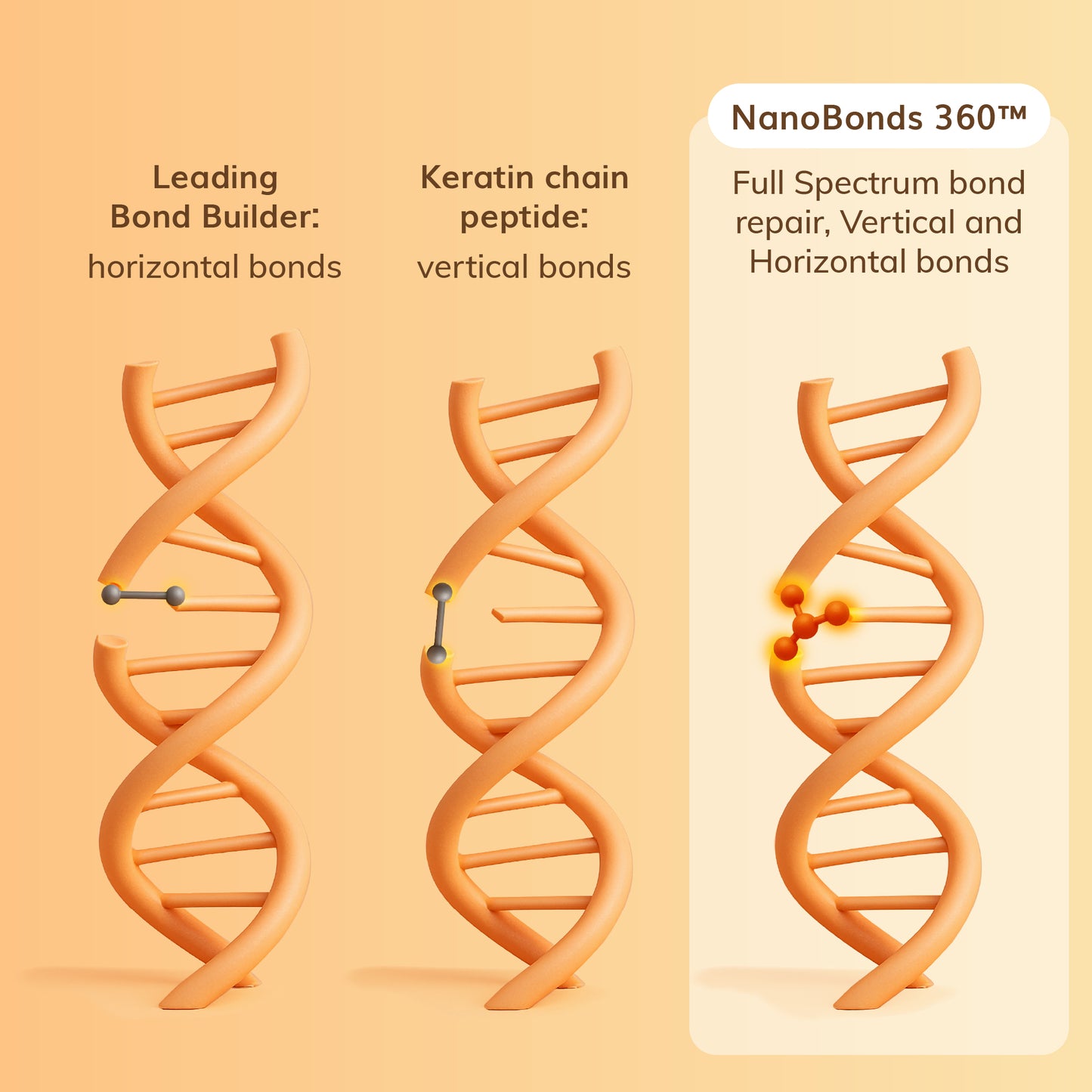 Dream Bonds Bio Emulsion