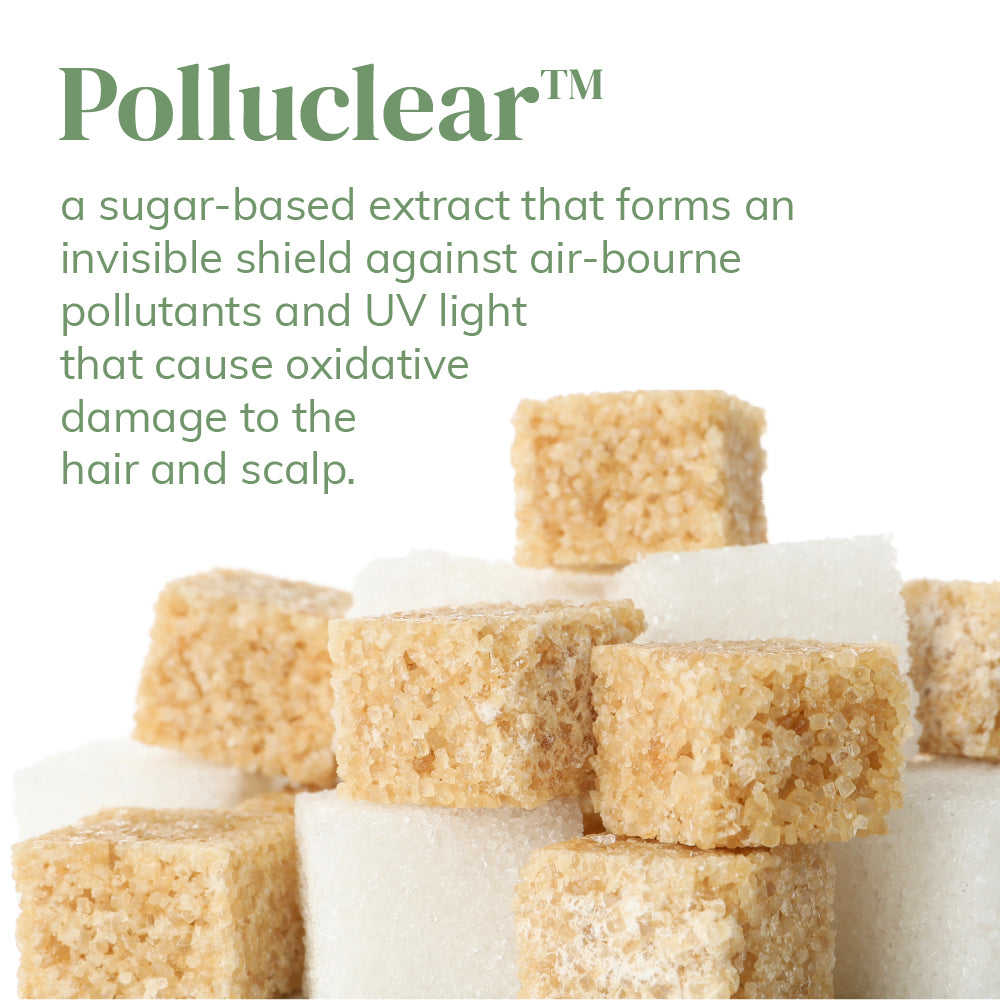 UV + Pollution Duo Shield x 60ml