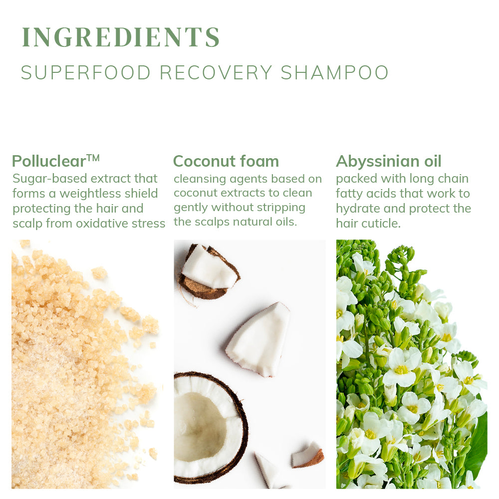 Superfood Recovery Shampoo