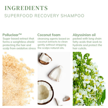 Superfood Recovery Shampoo