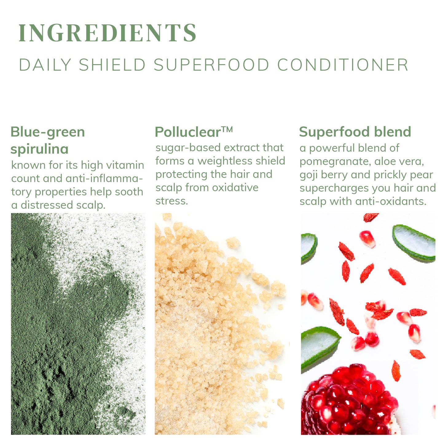Daily Shield Superfood Conditioner