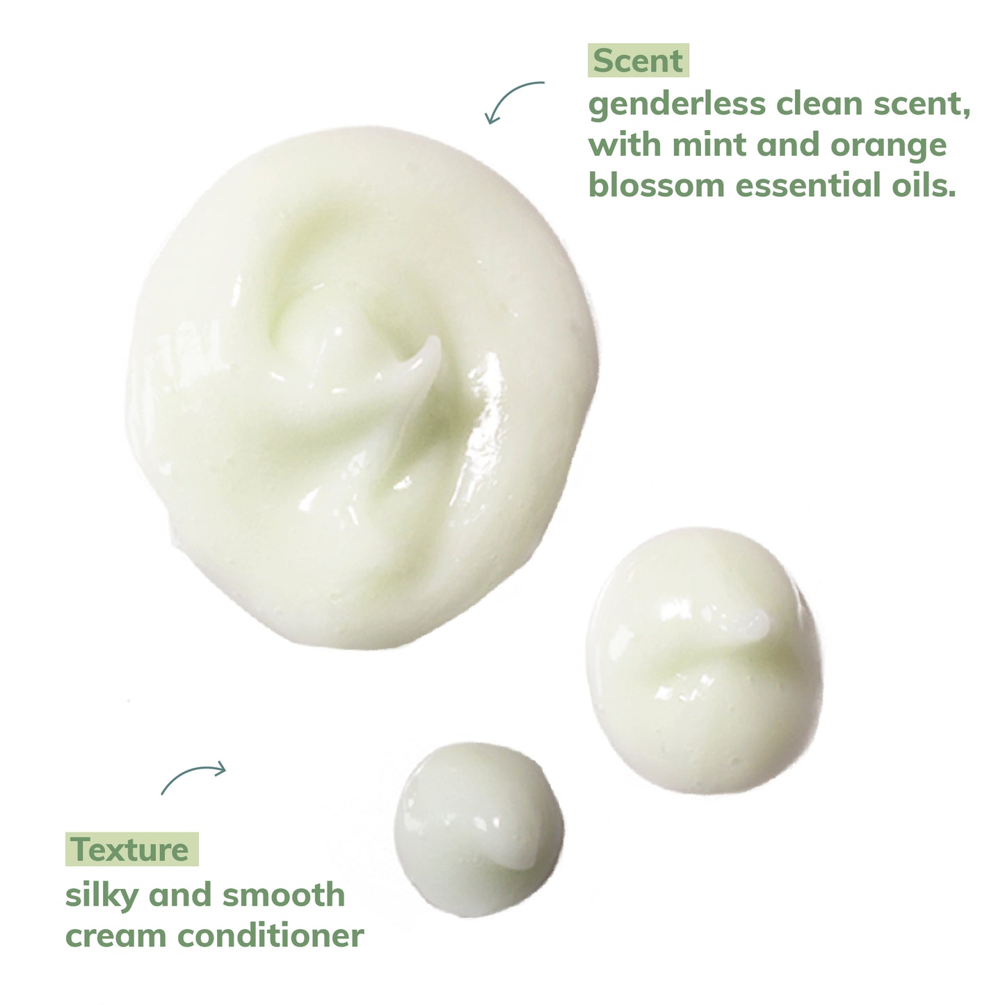 Après-Shampooing Daily Shield