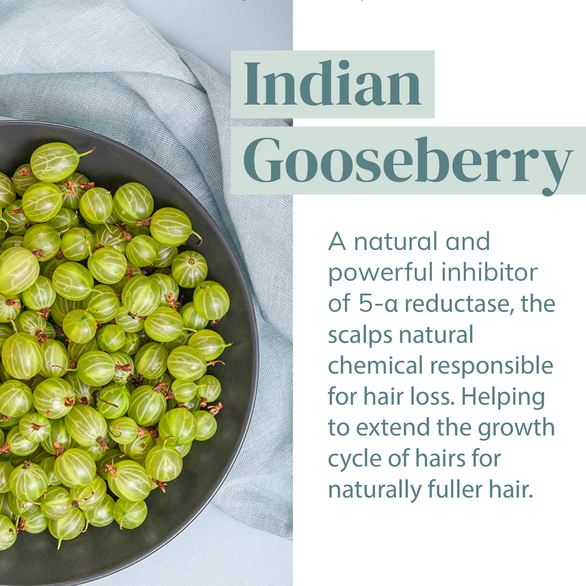 Hydrating Volumizing Conditioner